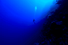 Abyss: A Silent Awakening